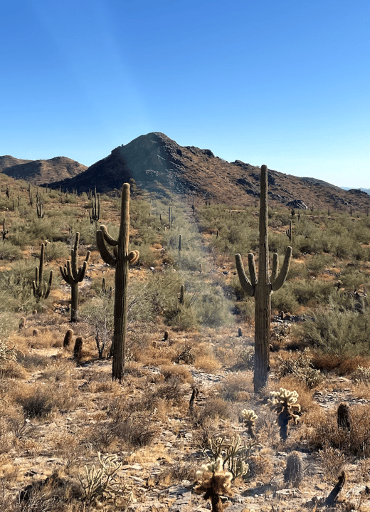 Screenshot 2025-10-01 at 3.23.32 PM