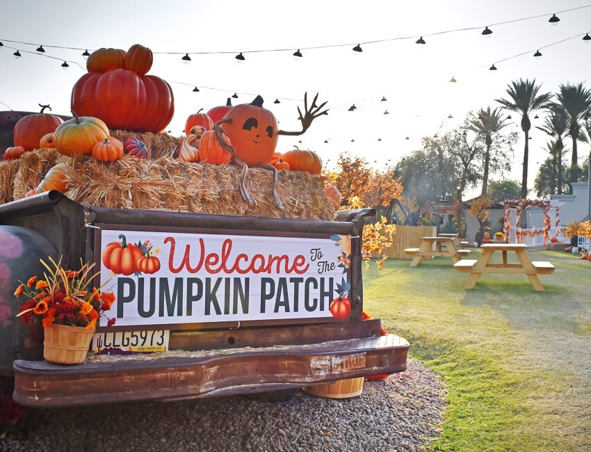 fairmontscottsdaleprincess-pumpkinfest-homepage-gallery-5-683f32937c38a-850x650